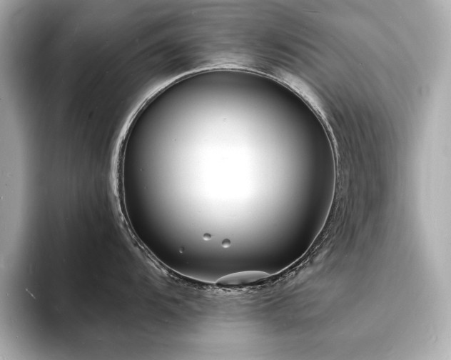 X0000093601104200710151216