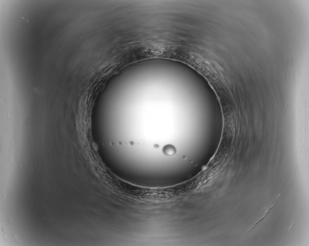 X0000093601105200710151216