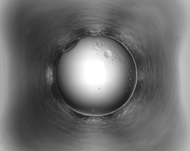 X0000093601106200710151216