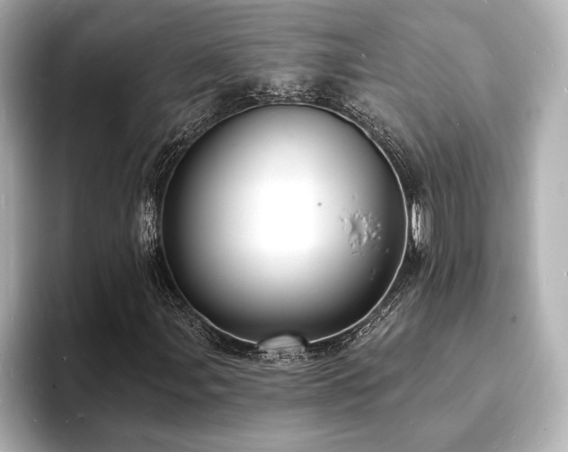 X0000093601107200710151216