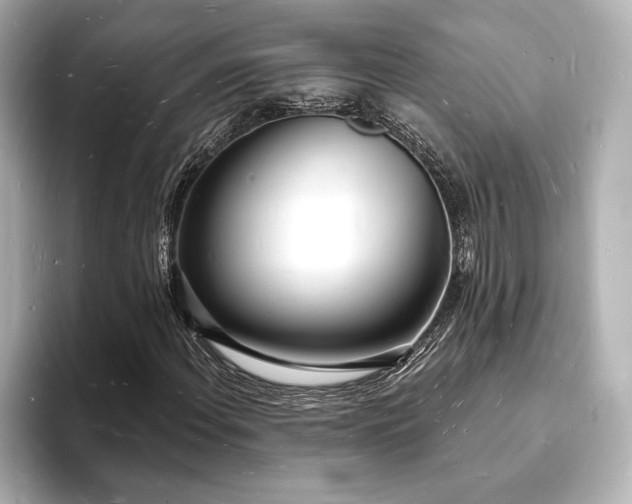 X0000093601108200710151216