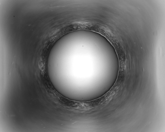 X0000093601109200710151216