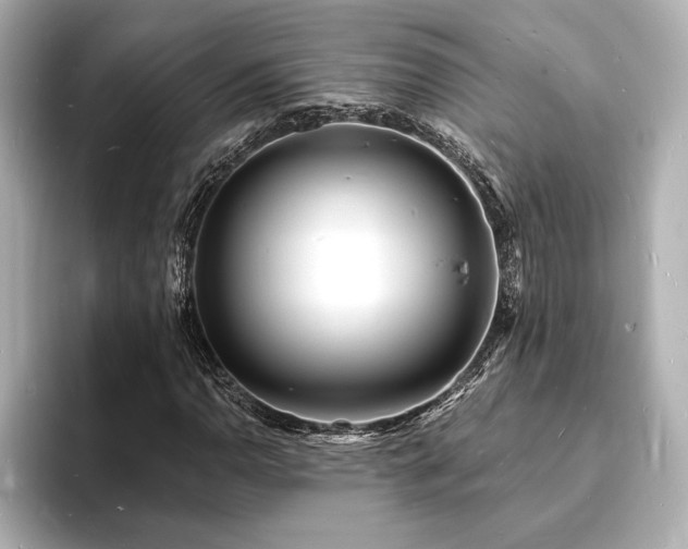 X0000093601110200710151216