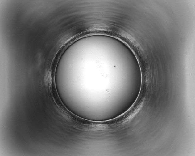 X0000093601113200710151216