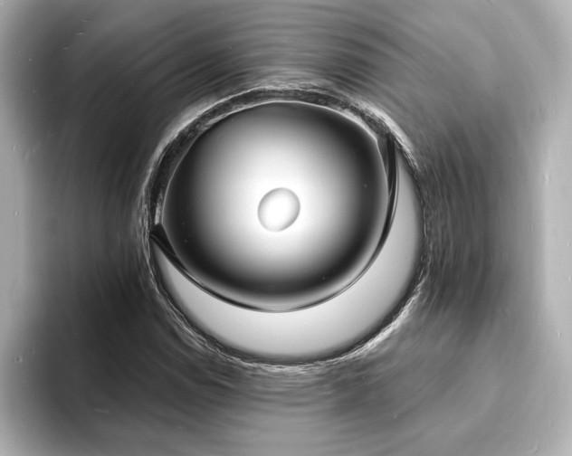 X0000093601114200710151216