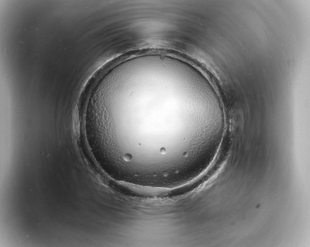 X0000093601117200710151216