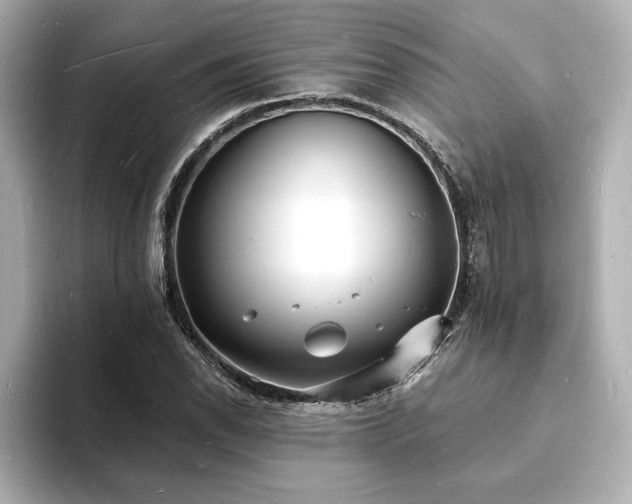 X0000093601118200710151216