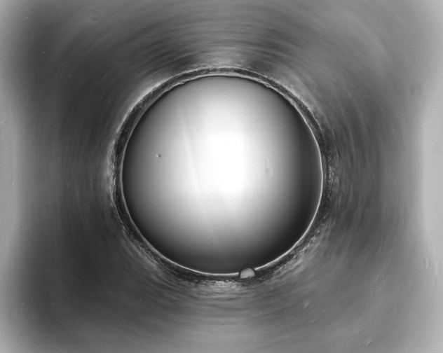 X0000093601119200710151216
