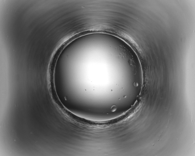 X0000093601122200710151216