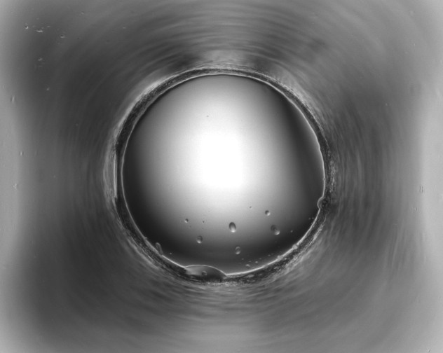 X0000093601123200710151216