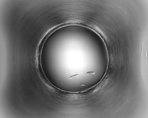 X0000093601124200710151216
