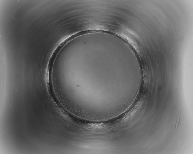 X0000093601125200710151216