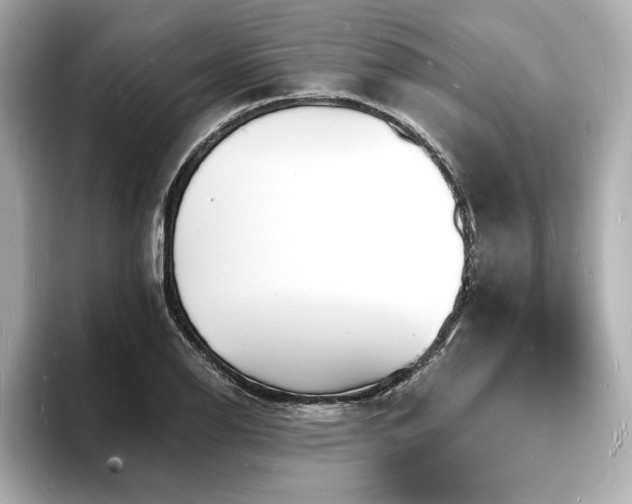 X0000093601126200710151216