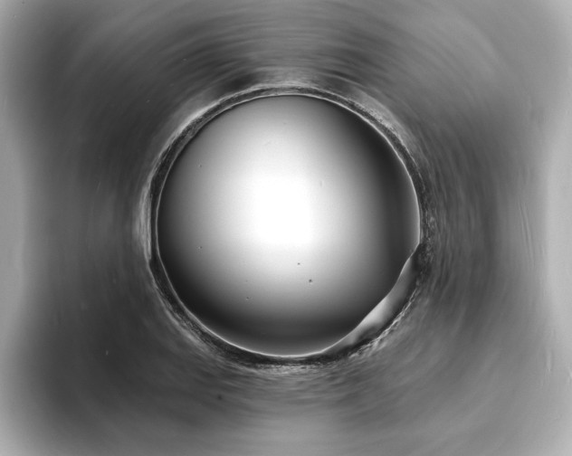 X0000093601127200710151216