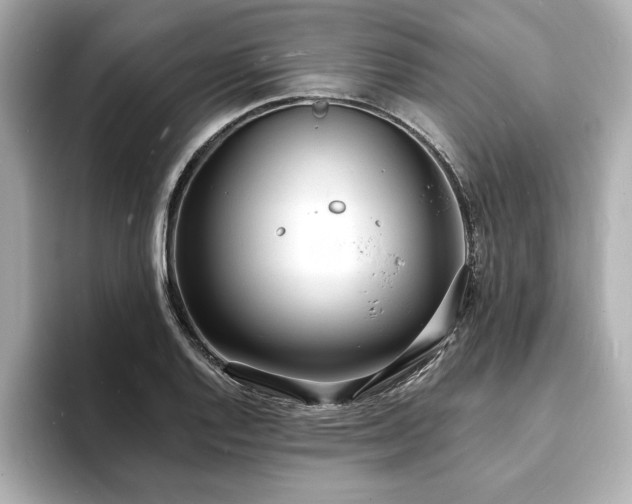 X0000093601128200710151216