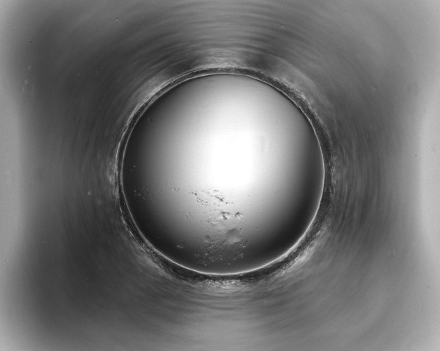 X0000093601129200710151216