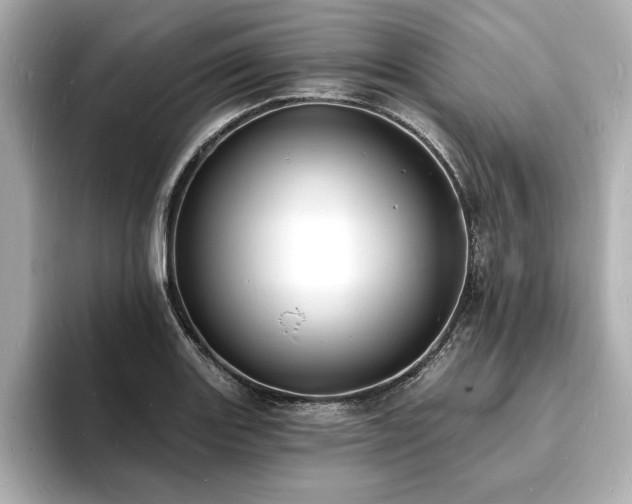 X0000093601131200710151216