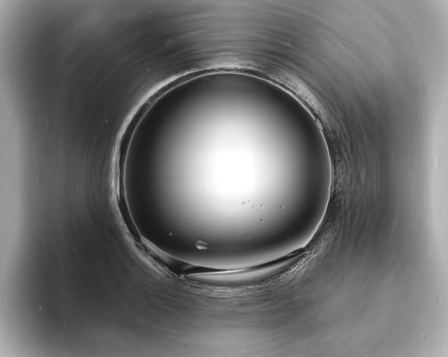 X0000093601132200710151216