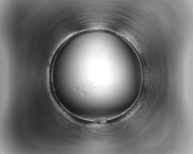 X0000093601134200710151216