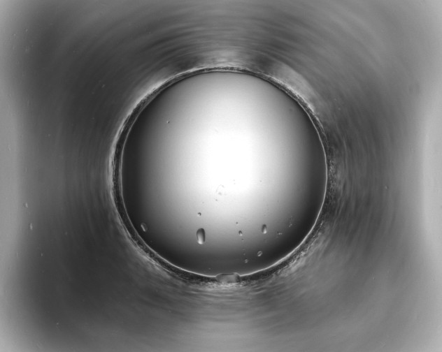 X0000093601135200710151216