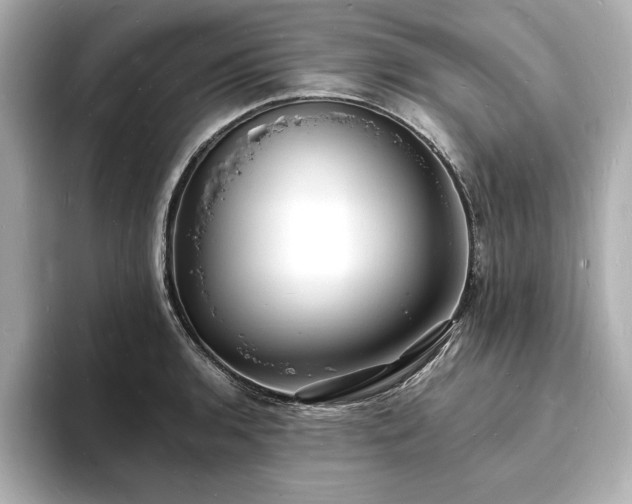 X0000093601136200710151216