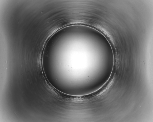 X0000093601137200710151216