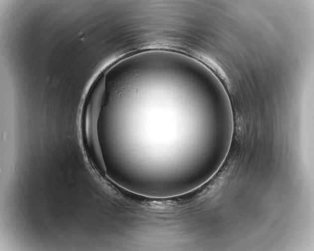 X0000093601138200710151216