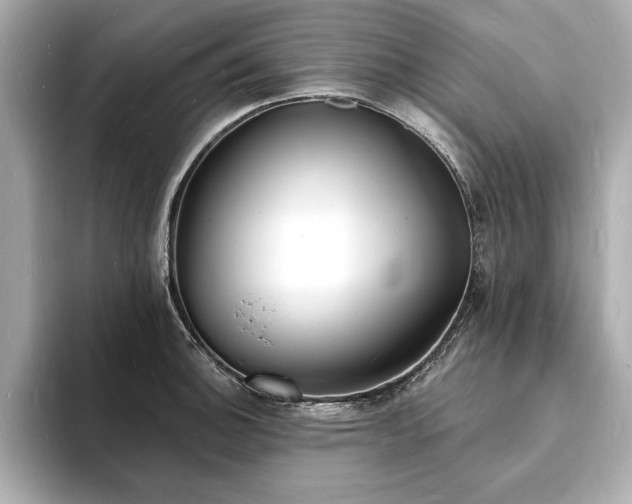 X0000093601140200710151216