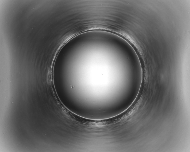 X0000093601145200710151216
