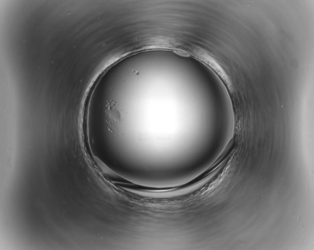 X0000093601146200710151216