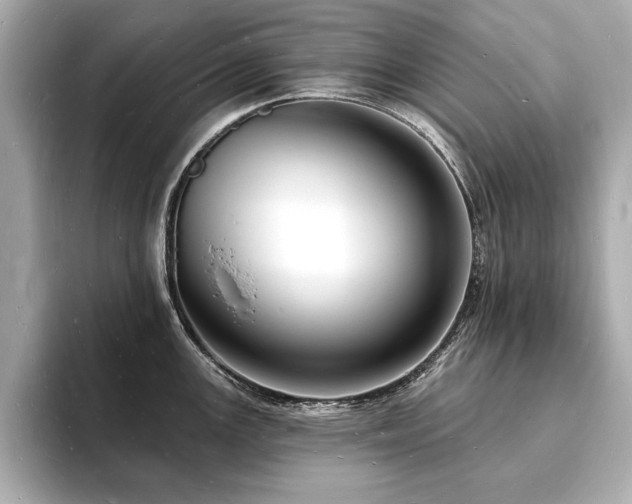X0000093601147200710151216