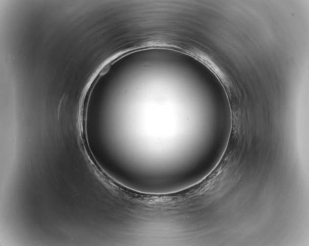 X0000093601148200710151216