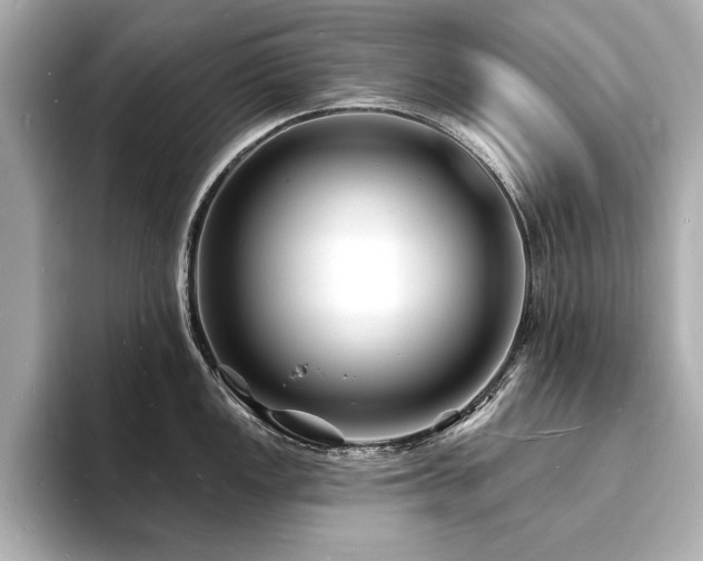 X0000093601149200710151216