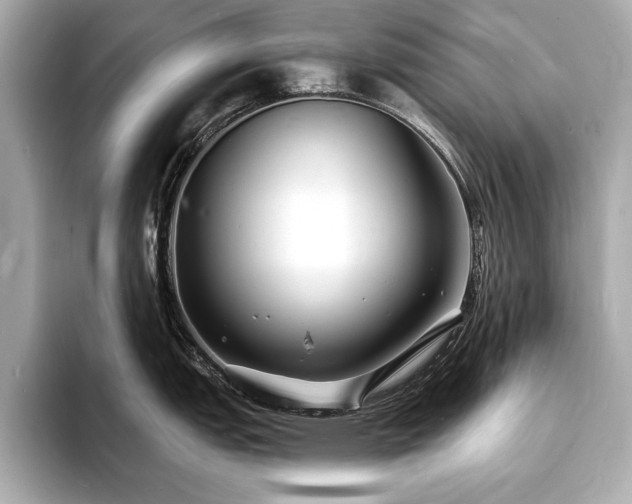 X0000093601151200710151216