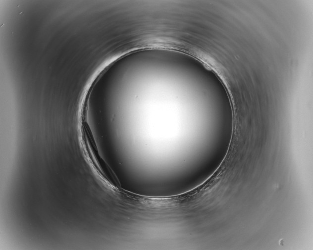 X0000093601152200710151216