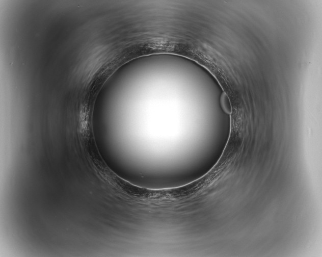 X0000093601154200710151216