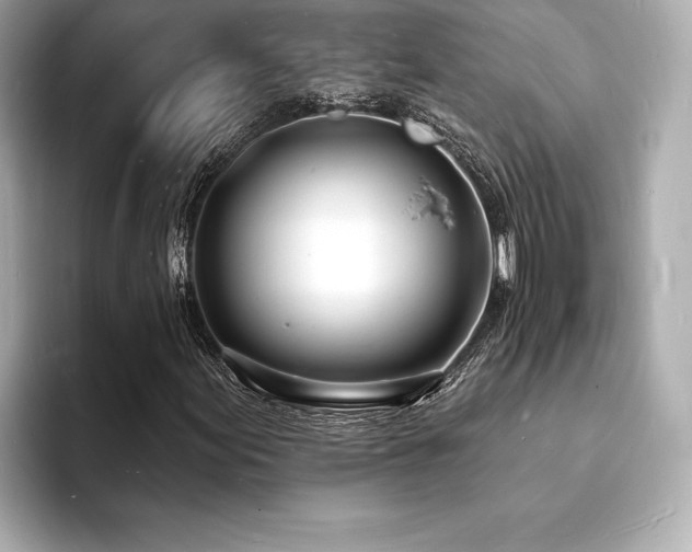 X0000093601155200710151216