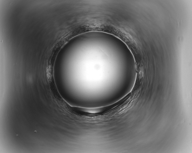 X0000093601156200710151216