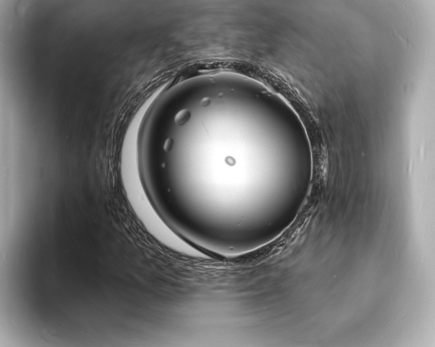 X0000093601157200710151216