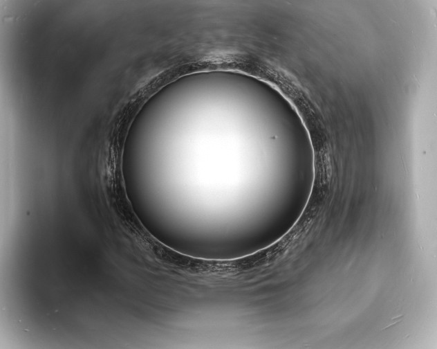 X0000093601158200710151216