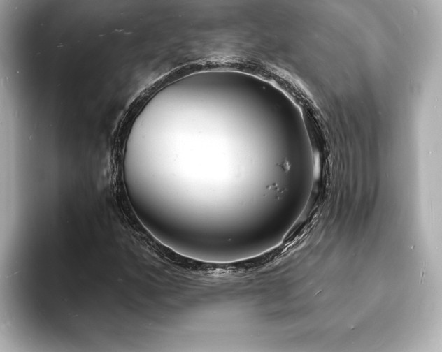 X0000093601160200710151216