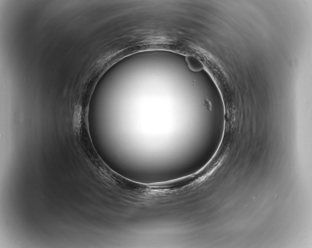 X0000093601161200710151216