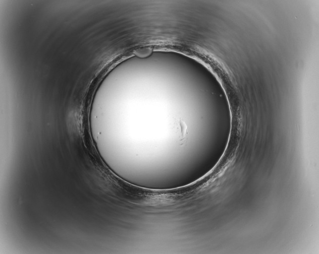 X0000093601162200710151216