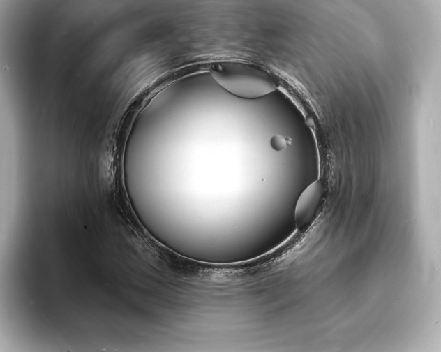 X0000093601163200710151216