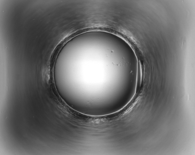X0000093601165200710151216