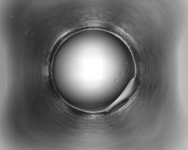 X0000093601166200710151216
