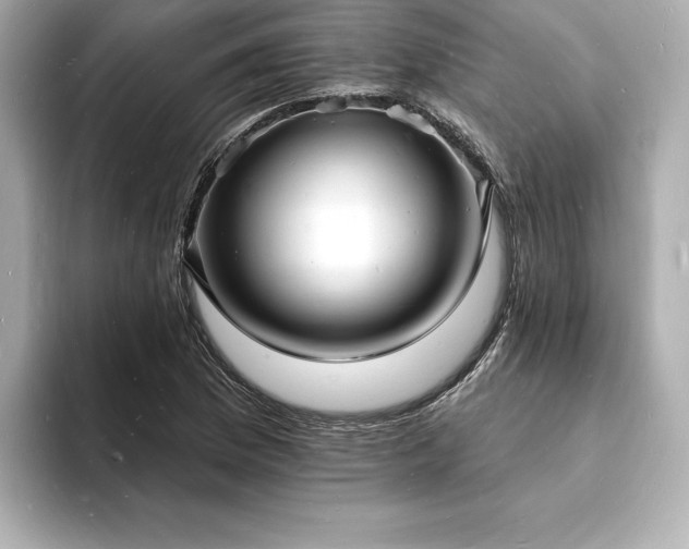 X0000093601169200710151215