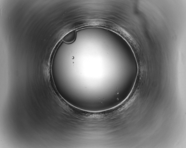 X0000093601178200710151215