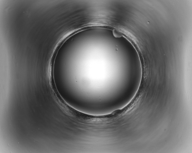 X0000093601179200710151215