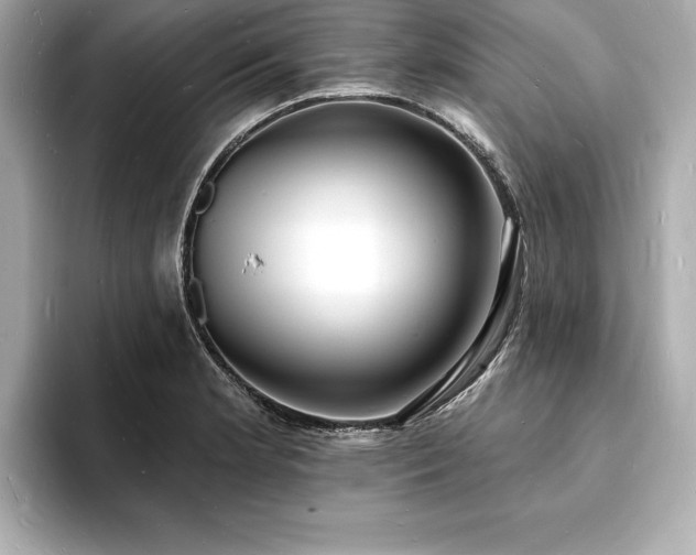 X0000093601181200710151215